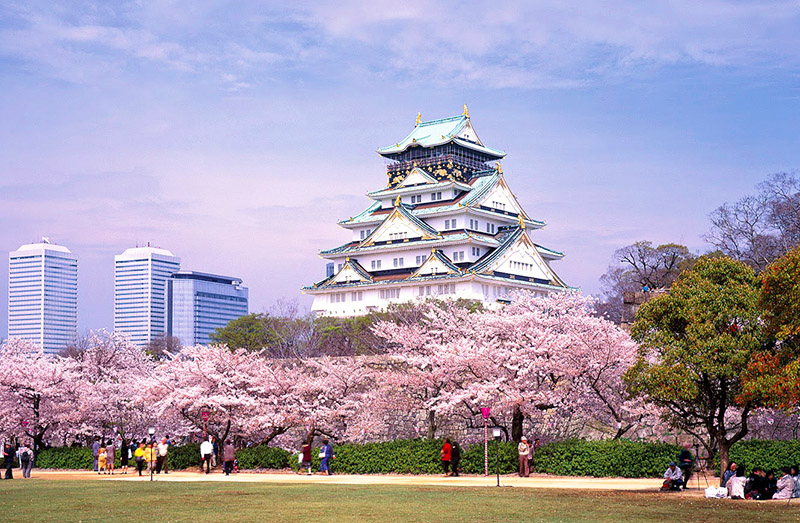 Lâu đài Nagoya thu hút đông đảo du khách đến tham quan
